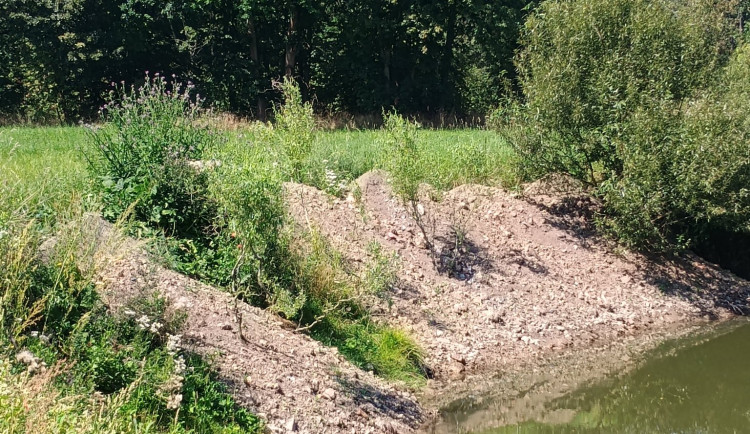 Neznámý viník zničil v CHKO Poodří hnízda ledňáčků, vysypal na ně stavební suť
