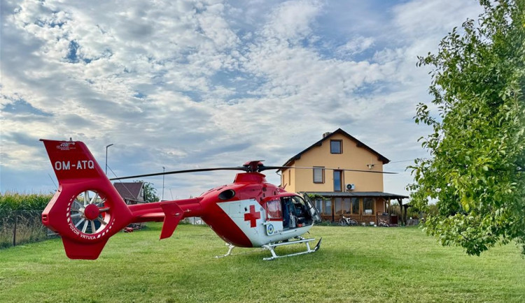 Muže bodla do krku vosa, dostal silnou alergickou reakci