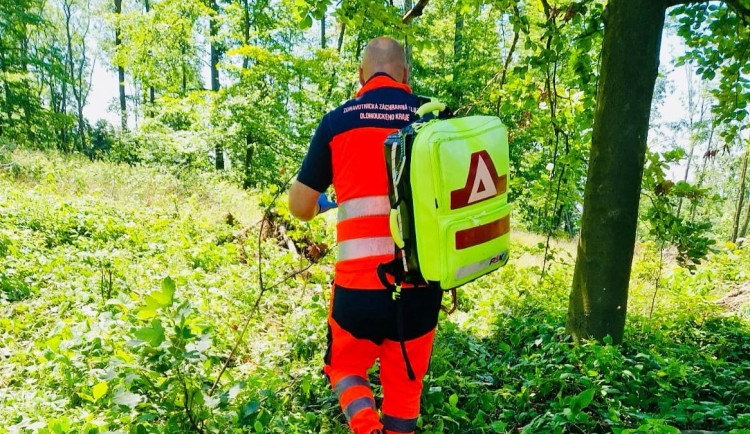 Seniorka se na Šumpersku přiotrávila rulíkem. Spletla si ho s borůvkami