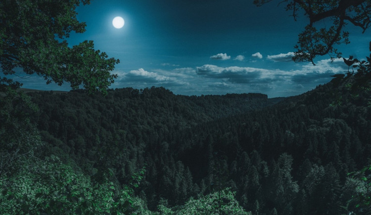 Policisté na Žďársku pátrali téměř celou noc po dětech, všechny se vrátily domů