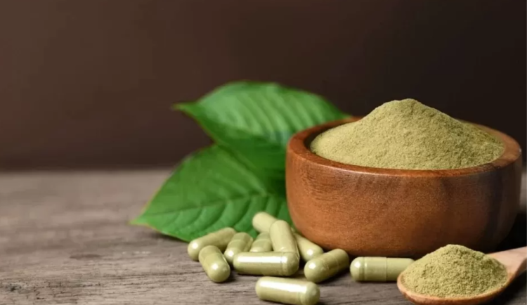 Ostravští neurologové varují, že kratom může vyvolat epileptické záchvaty