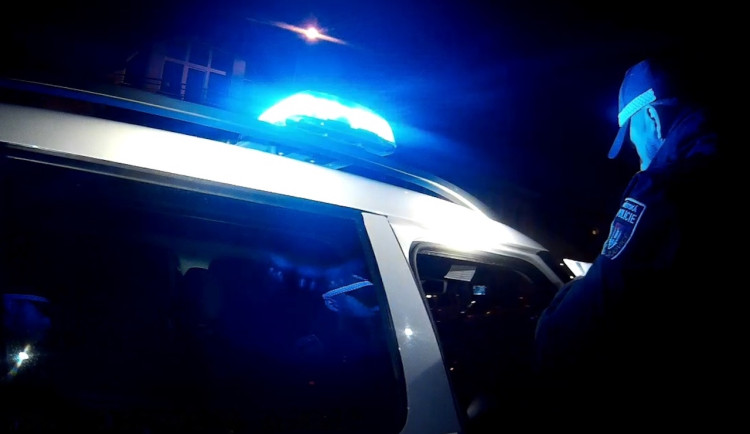 Halucinující ženu vyděsily agresivní pumy, schovala se na cizí zahradě