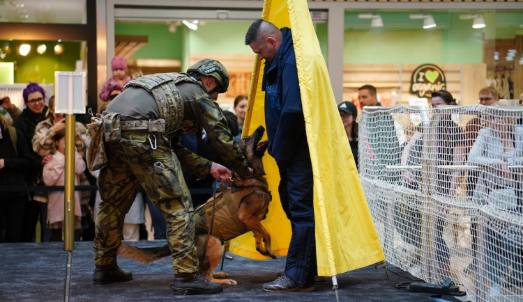 Army den v Liberci. Vojenská technika zaplní OC Nisa, nad městem proletí vrtulník