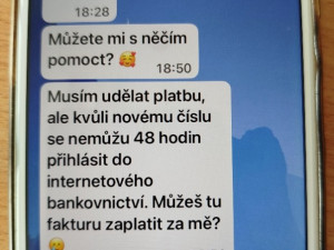 Senioři z Ostravy přišli o 150 tisíc. Podvodník se vydával za jejich syna