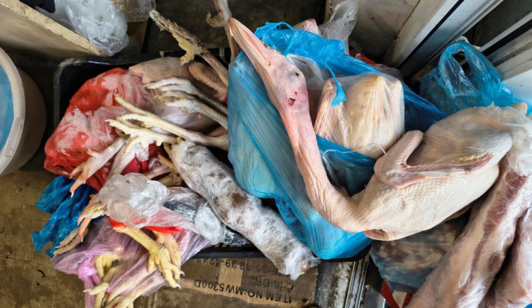 Inspektoři v brněnské tržnici Vinamo objevili stovky kil masa neznámého původu