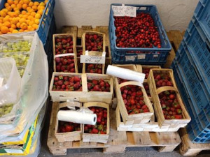 Polské jahody byly plné pesticidů. Limit překročily jedenáctkrát