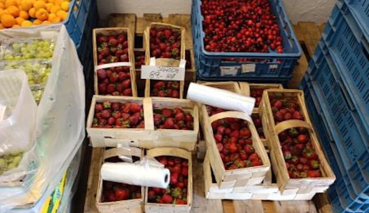 Polské jahody byly plné pesticidů. Limit překročily jedenáctkrát.