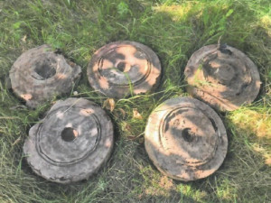 U naučné stezky v Krnově našli pyrotechnici tři desítky kusů munice