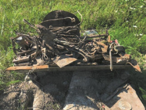 U naučné stezky v Krnově našli pyrotechnici tři desítky kusů munice