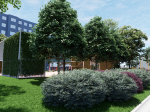 Porubané budou hlasovat o proměně dvorů, vítěz získá pět milionů korun