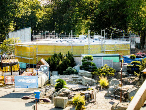 Amphibiarium roste: Zoo Ostrava chystá 40 biotopů pro ohrožené obojživelníky