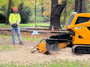 V Bohumíně kácí stromy, úprava stoletého parku Petra Bezruče je v nejhlučnější fázi
