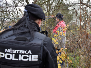 Strážníci vyrážejí do chatových oblastí na koních i se psy. Chtějí zabránit vloupáním