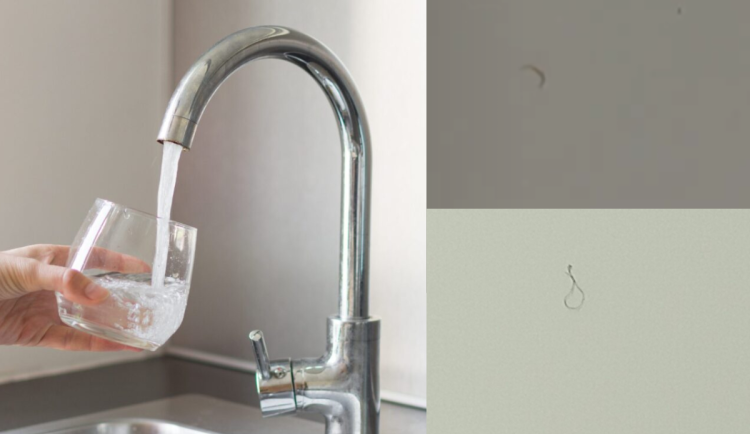 Občané ve vodě nacházejí "živé organismy"