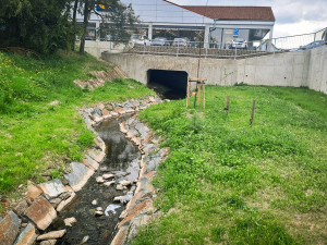 Lesy ČR v Moravskoslezském kraji obnovily koryta Frýdlantské Ondřejnice a Čermné