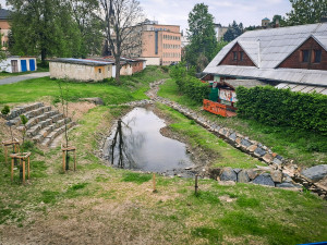 Lesy ČR v Moravskoslezském kraji obnovily koryta Frýdlantské Ondřejnice a Čermné