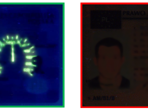 Na Opavsku přistihli policisté cizince s padělanými řidičskými průkazy