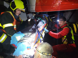 Noční zásah na Opavsku: auto narazilo do stromu, hasiči vyprošťovali zaklíněnou ženu