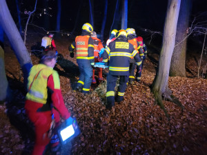 Noční zásah na Opavsku: auto narazilo do stromu, hasiči vyprošťovali zaklíněnou ženu