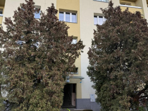 Hasiči z hořícího bytu zachraňovali 3 lidi, 2 psy a 4 kočky. Evakuovali také 20 osob