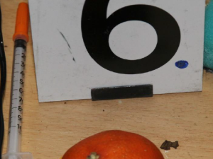 Policie obvinila dealera ze smrti manželů. Za prodej fentanylu mu hrozí až 18 let vězení