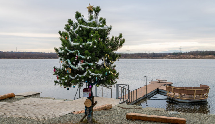 V Karviné se znovu rozsvítí vánoční strom přání, pomůže lidem v tíživé situaci. Foto: Poskytlo město Karviná