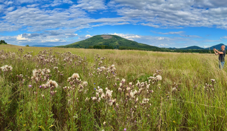 Spolek koupil v Brništi pozemek. Vznikne tu sad, alej i pastvina