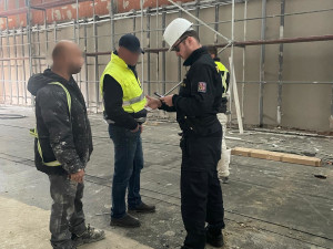 Padělek pasu i nelegální pobyt. Policisté zkontrolovali tisíc cizinců v kraji