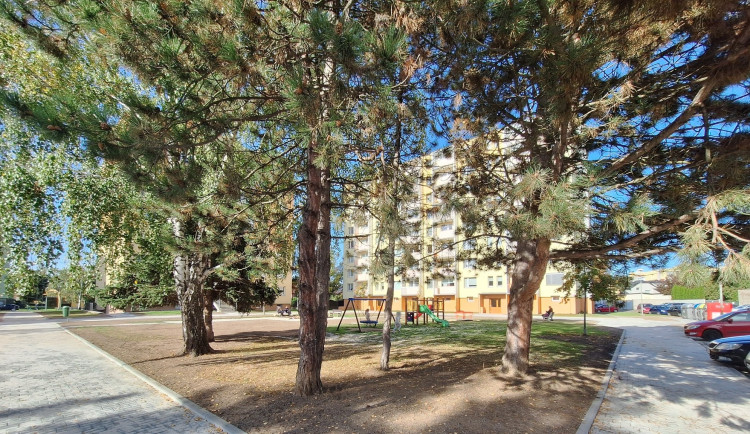 Nařízení EU o obnově přírody? Průmyslový Přerov chystá zelené střechy a zadržování vody