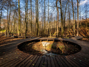 Relax mezi tůněmi. Bělský les láká novými povalovými chodníky v délce 566 metrů