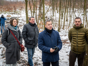 Relax mezi tůněmi. Bělský les láká novými povalovými chodníky v délce 566 metrů