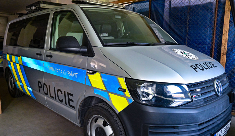 Mladá řidička se srazila s divokým prasetem, škoda je 150 tisíc korun