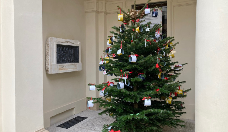 Vánoční strom přání Liberce už není na nádvoří radnice, ale Paláce Liebieg