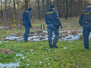 Promyšlená vražda na Frýdecko-Místecku. Zardoušenou ženu našli v potoce