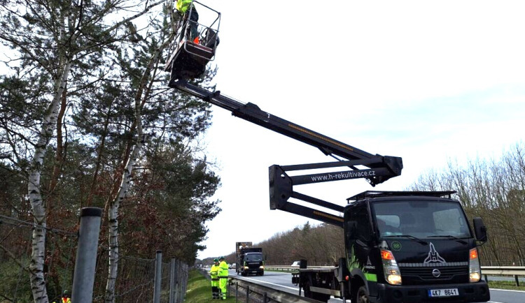 Silničáři pošlou v Královéhradeckém kraji některé stromy preventivně k zemi