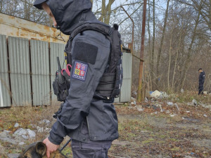 Muž na tržnici v Ostravě při kontrole přeskočil plot, další se schovával za krabicí