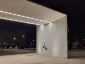 FOTO: Policisté dopadli muže, který řádil v Kopřivnici, postříkal i budovu policie