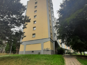 FOTO: Policisté dopadli muže, který řádil v Kopřivnici, postříkal i budovu policie