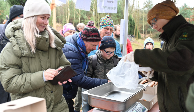Hradecký kapr připlul na scénu, koupíte ho u Datlíku i Atria