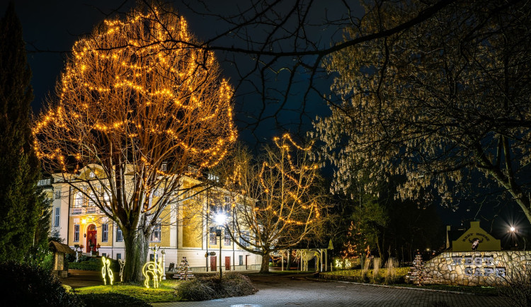 Zlatě osvícený Safari Park ve Dvoře Králové láká dnes na symbolické vstupné