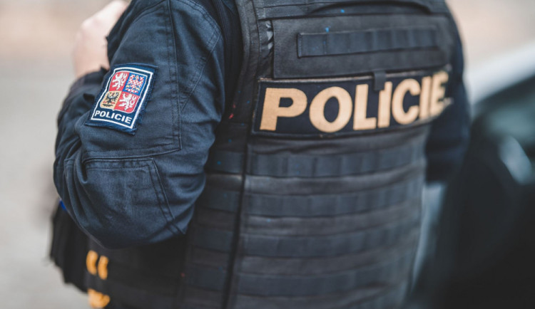 Podvod s prasetem, venčení hada, ztracená ponožka. Policie letos řešila také kuriózní případy