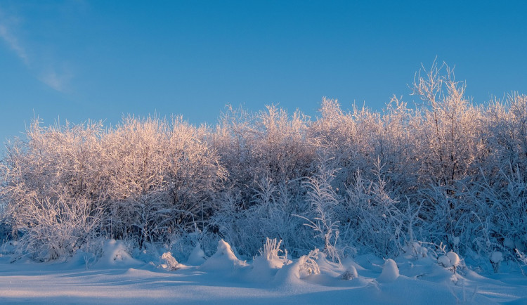 Na Kvildě ráno naměřili minus 30,6 stupně. Česko čeká mrazivý týden