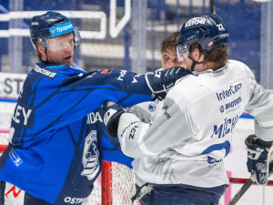 Vítkovice ani potřetí v sezoně nestačily na Plzeň, prohrály 4:6