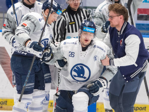Vítkovice ani potřetí v sezoně nestačily na Plzeň, prohrály 4:6