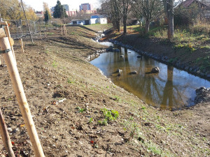 Kobylí potok prošel rozsáhlou úpravou, vznikly tůně i nové břehy