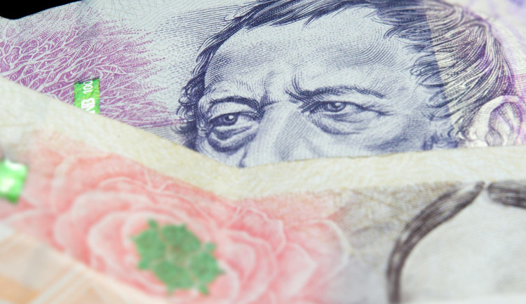 NKÚ upozorňuje na riziko neefektivního využití peněz u výzkumných projektů