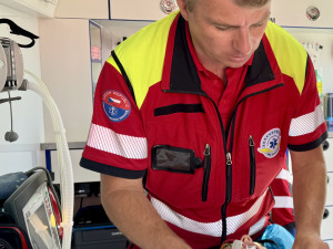 Moravskoslezským záchranářům loni přibylo výjezdů, ošetřili zhruba 127 tisíc pacientů