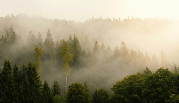 První polovina týdne bude větrná. Větší sněhové nadílky se v kraji nedočkáme