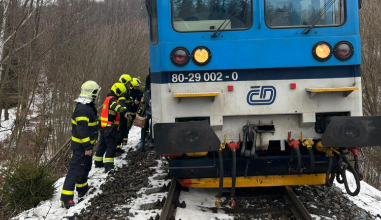 Na Bruntálsku osobní vlak srazil koně. Z cestujících se nikdo nezranil, zvíře nepřežilo