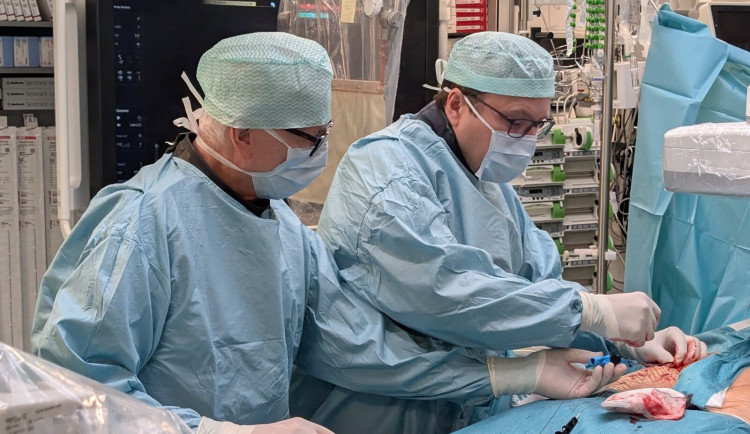 Lékaři v Brně odebrali šest orgánů od dárce, dají novou šanci několika pacientům
